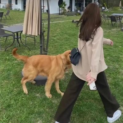 列车大逃亡